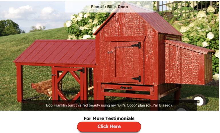 Read more about the article Building a Chicken Coop