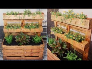 Read more about the article Creative way to Upcycle Pallets into flower planter box | DIY Garden ideas