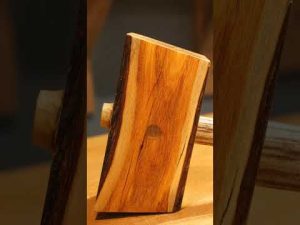 Read more about the article I Turned an Osage Orange Log into a Wooden Mallet!